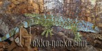 Tokeh.female5-20