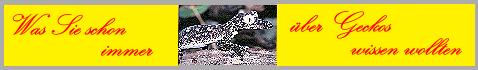 nephrurus_banner
