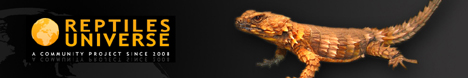 reptiles-universe-banner